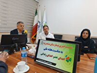 ایران در میان کشور‌های خاورمیانه در صدر اعمال پیوندی است