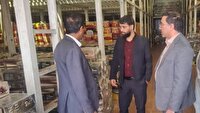 کشف انبار احتکار کالای اساسی در عنبرآباد