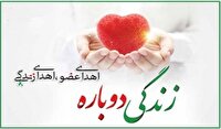 حیات دوباره ۸۰۰ بیمار با اهدای عضو