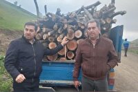 توقیف ۲ تن چوب آلات وهیزم جنگلی در اردبیل
