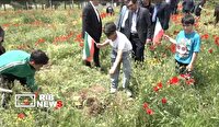 کاشت ۱۵۰ نهال به‌یاد امام شهید و دانش‌آموزان شهید در اردوگاه شهید کمالوند خرم آباد