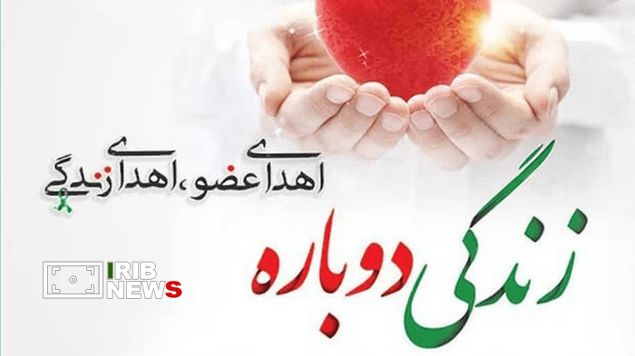 ثبت سومین اهدا عضو بیمار قمی در قم