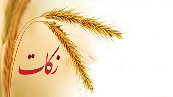 رشد چشمگیر مشارکت مودیان در آذربایجانغربی، ۸۸ میلیارد تومان زکات جمعآوری شد رشد چشمگیر مشارکت مودیان در آذربایجانغربی، ۸۸ میلیارد تومان زکات جمعآوری شد