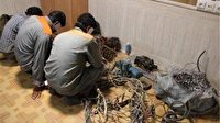 انهدام باند سارقان کابل‌های صنعتی ۷۰ میلیاردی اصفهان