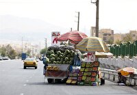 طرح برخود با وانتی‌های دارای سد معبر در منطقه ۱۴ تهران 