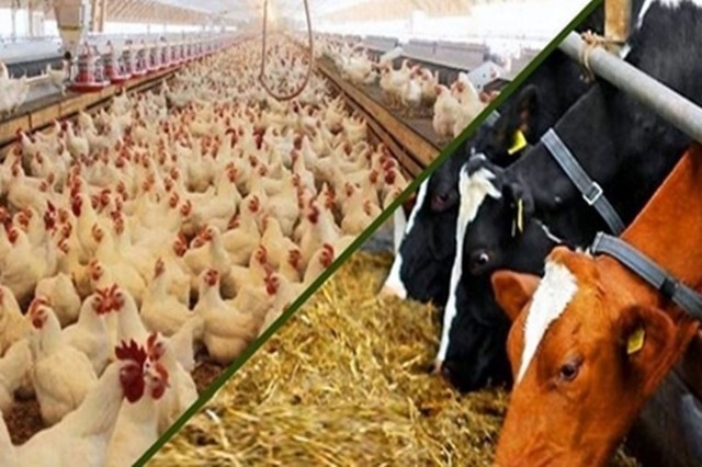 مهندسیِ تولید در اولویت سازمان نظام مهندسی کشاورزی فارس