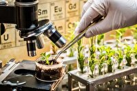 نگهداری بیش از پنج میلیون نمونه منابع ژنتیکی کشاورزی