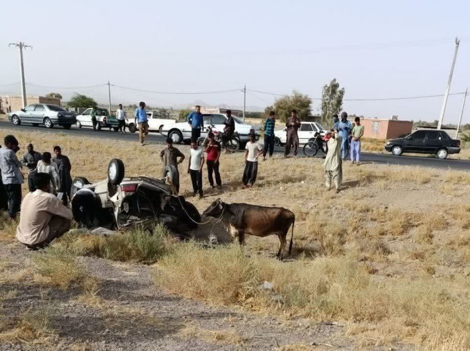 کشف احشام سرقتی در پی واژگونی خودرو در رودبارجنوب