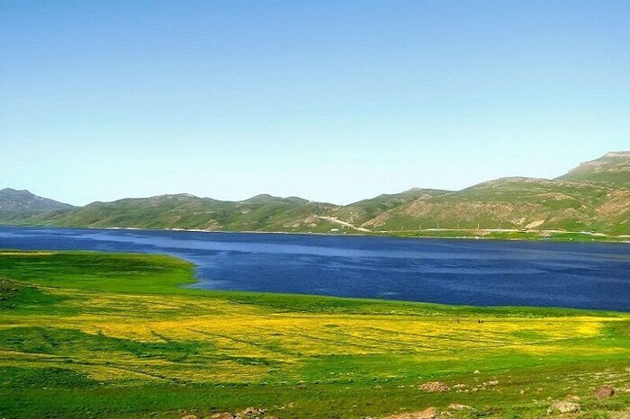 صدور سند برای یک میلیون و ۴۰۰ هزار هکتار از تالاب‌های کشور