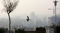 امروز ۲۱ خرداد ۱۴۰۵، آلودگی هوای ۶ شهر خوزستان در وضعیت قرمز و نارنجی