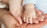 دستگاه های دولتی به تعهدات خود در قانون جوانی جمعیت عمل کنند
