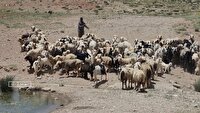 حمایت بنیاد علوی شهرضا برای بهینه سازی مصرف آب در کشاورزی