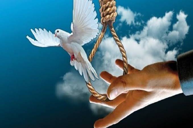 رهایی یک جوان محکوم به قصاص در تایباد رهایی یک جوان محکوم به قصاص در تایباد
