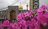 اعلام ویژه برنامه‌های حرم مطهر رضوی در روز عرفه و عید قربان