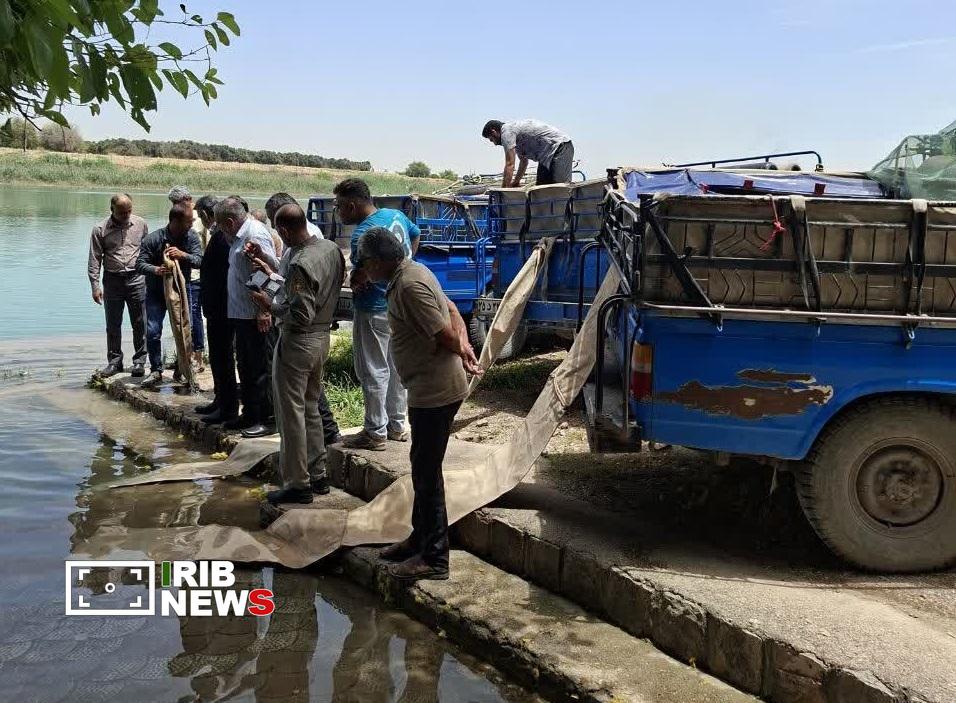 رهاسازی ۵۵۵ هزار قطعه بچهماهی بومی در دریاچه سد تنظیمی علیکله دزفول رهاسازی ۵۵۵ هزار قطعه بچهماهی بومی در دریاچه سد تنظیمی علیکله دزفول