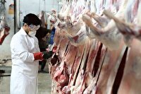 آماده‌باش ۸۹ گروه دامپزشکی در اصفهان