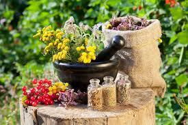 یک فنجان خاطره یک فنجان خاطره