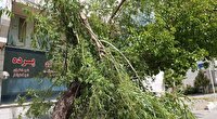 طوفان خوانسار را در نوردید