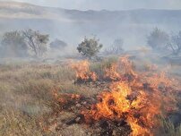 ارتفاعات کوهمره سرخی شیراز ؛ همچنان در محاصره آتش