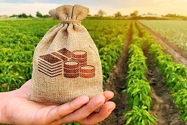 عوامل مؤثر بر کارآفرینی در اقتصادهای منابع‌محور
