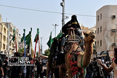 مراسم عزاداری عاشورای حسینی (ع) در بندر عباس