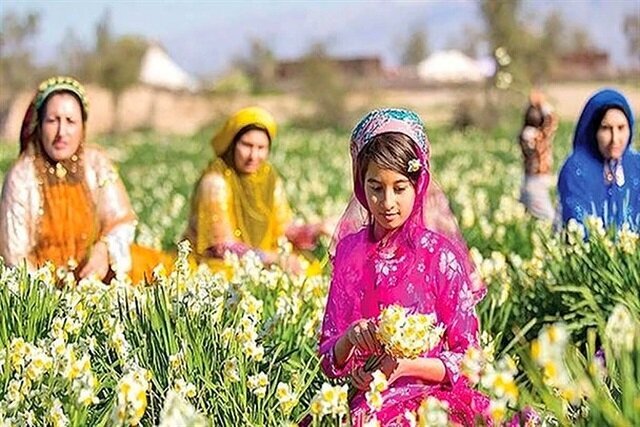 شناسایی عوامل کلیدی رشد کارآفرینی روستایی در ایران