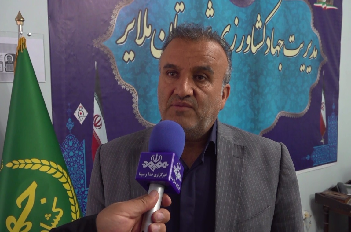 پیشگیری از سرمازدگی باغ‌های انگور با اجرای طرح فراز