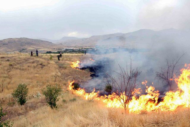 افزایش سطح آتش‌سوزی اراضی خوزستان