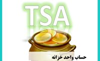فعالیت ۱۲۴ فقره حساب ارزی دستگاه‌های اجرایی خارج از حساب واحد خزانه